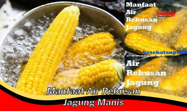 Temukan 5 Manfaat Air Rebusan Jagung Manis yang Jarang Diketahui