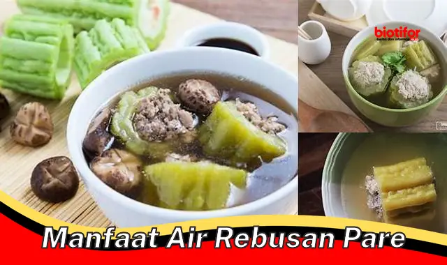 manfaat air rebusan pare