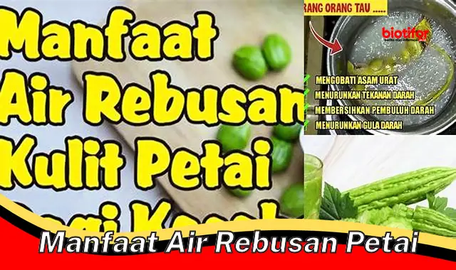 manfaat air rebusan petai