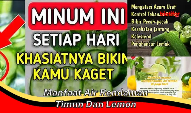 manfaat air rendaman timun dan lemon