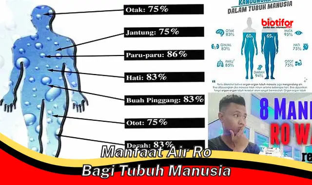 manfaat air ro bagi tubuh manusia