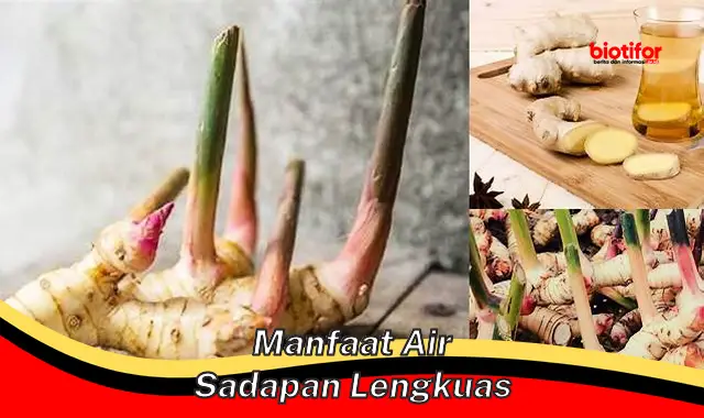 manfaat air sadapan lengkuas