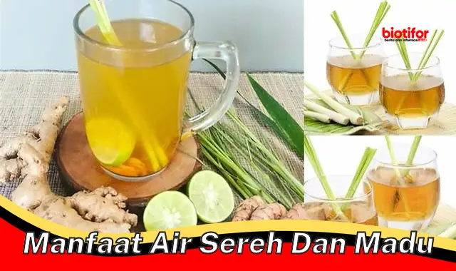 manfaat air sereh dan madu