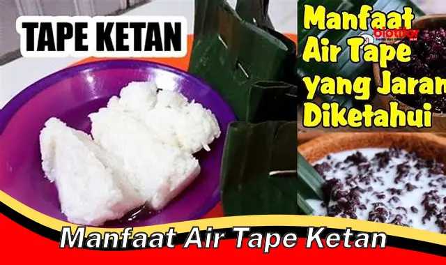 manfaat air tape ketan