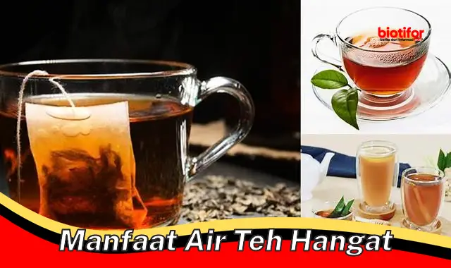 manfaat air teh hangat