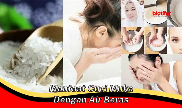 manfaat cuci muka dengan air beras