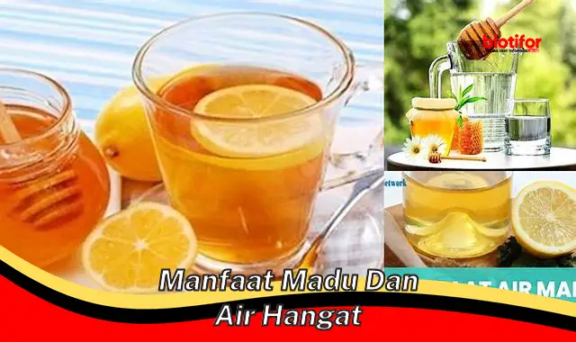 manfaat madu dan air hangat