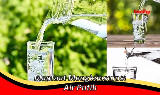 manfaat mengkonsumsi air putih