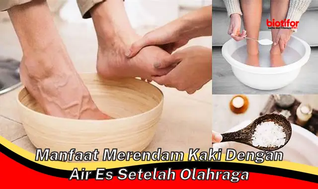 manfaat merendam kaki dengan air es setelah olahraga