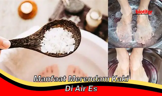 manfaat merendam kaki di air es