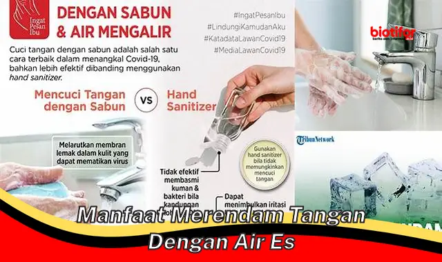 manfaat merendam tangan dengan air es