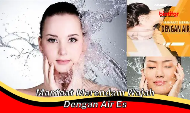 manfaat merendam wajah dengan air es