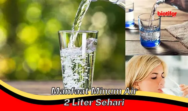 manfaat minum air 2 liter sehari