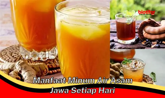 manfaat minum air asam jawa setiap hari