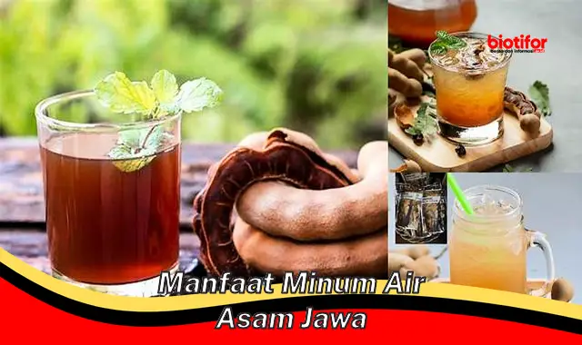 manfaat minum air asam jawa