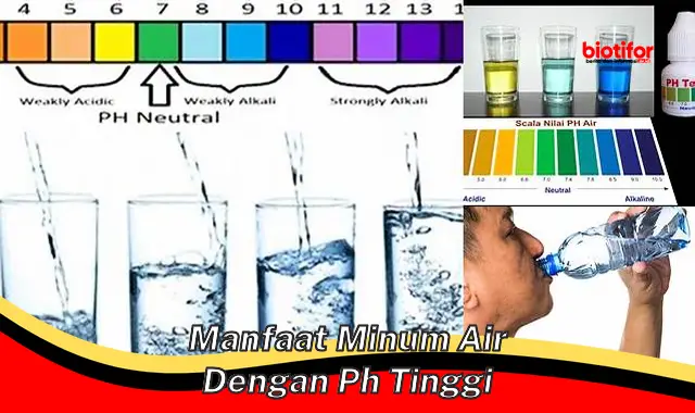 manfaat minum air dengan ph tinggi