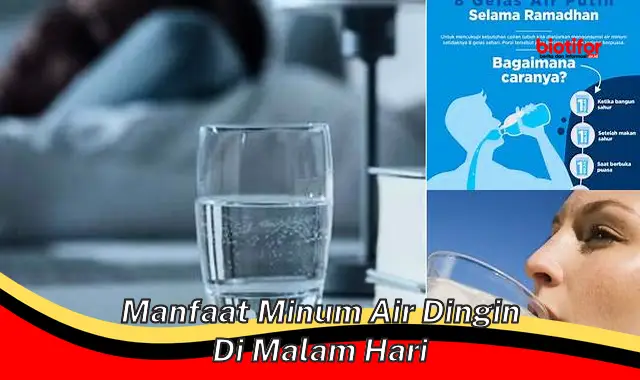 manfaat minum air dingin di malam hari