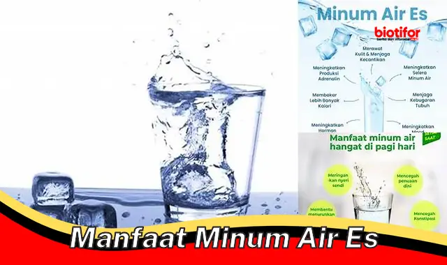 manfaat minum air es