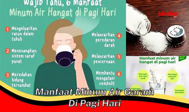 manfaat minum air garam di pagi hari