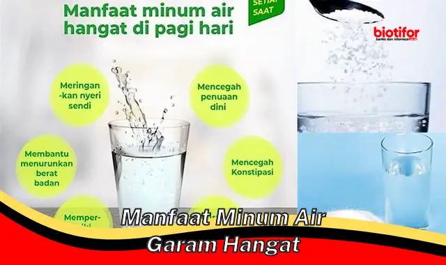 manfaat minum air garam hangat