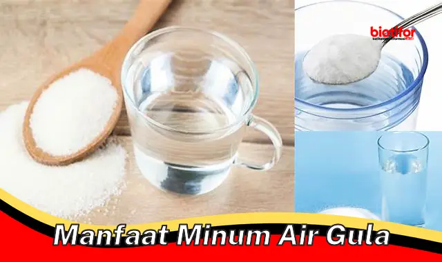 manfaat minum air gula