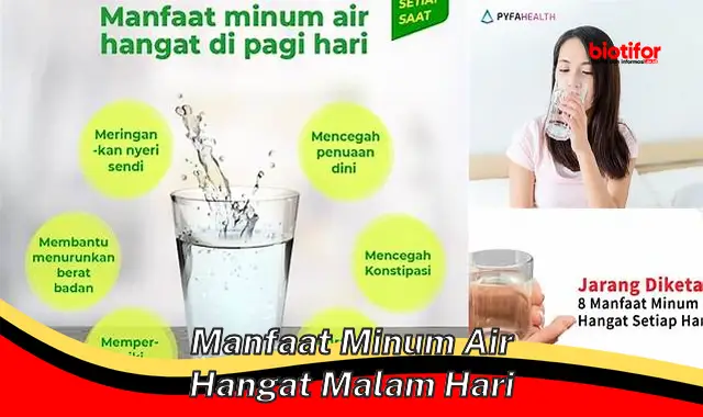 manfaat minum air hangat malam hari