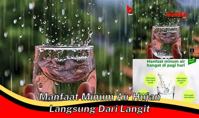 manfaat minum air hujan langsung dari langit