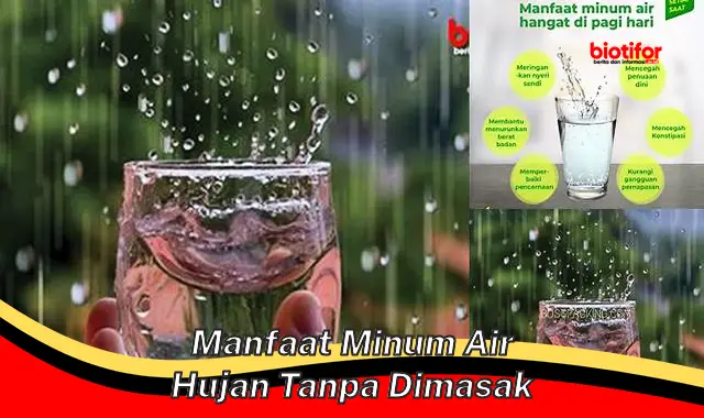 manfaat minum air hujan tanpa dimasak