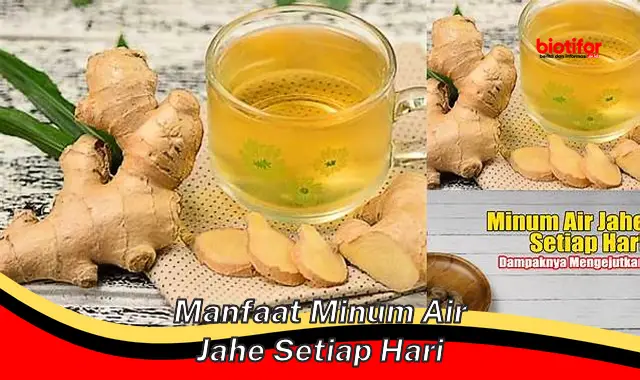 manfaat minum air jahe setiap hari