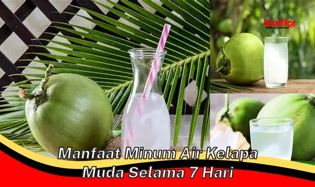 manfaat minum air kelapa muda selama 7 hari