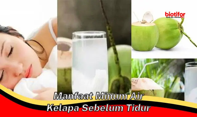 manfaat minum air kelapa sebelum tidur