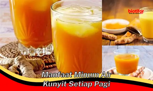 manfaat minum air kunyit setiap pagi