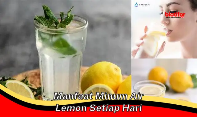 manfaat minum air lemon setiap hari