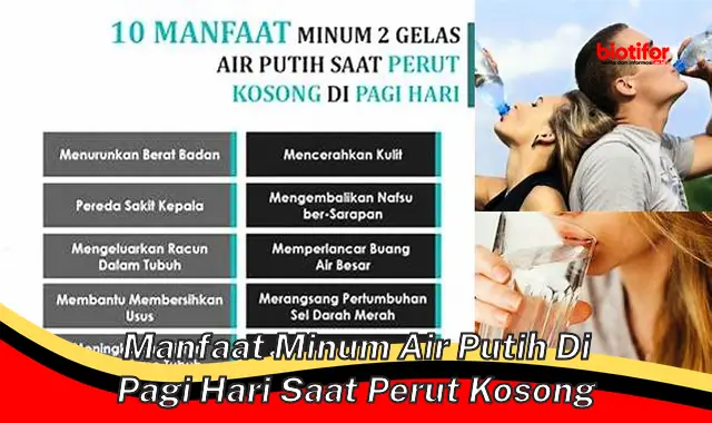 manfaat minum air putih di pagi hari saat perut kosong