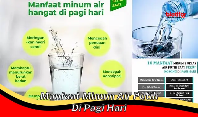 manfaat minum air putih di pagi hari