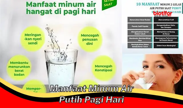 manfaat minum air putih pagi hari