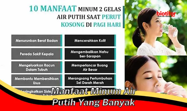 manfaat minum air putih yang banyak