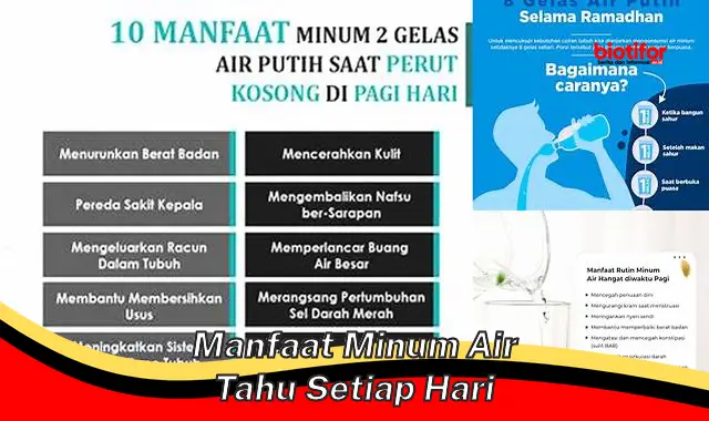 manfaat minum air tahu setiap hari