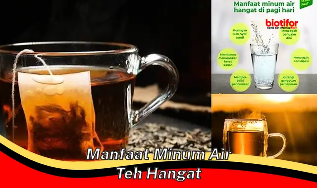 manfaat minum air teh hangat