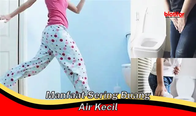 manfaat sering buang air kecil