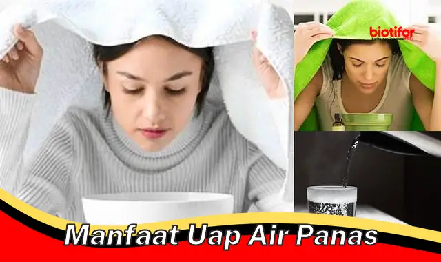 manfaat uap air panas