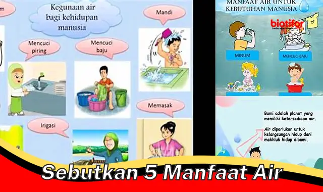 sebutkan 5 manfaat air