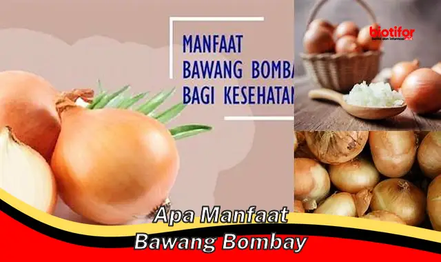 Temukan Rahasia Bawang Bombay: Manfaat yang Tak Terduga