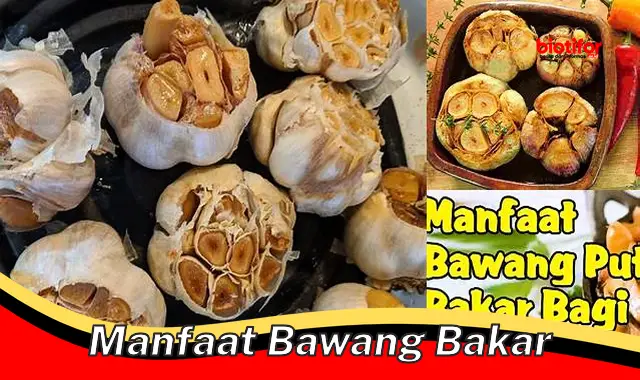 manfaat bawang bakar