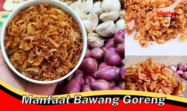 manfaat bawang goreng