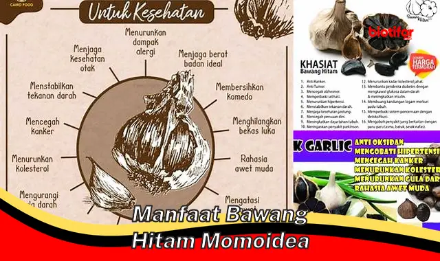 manfaat bawang hitam momoidea