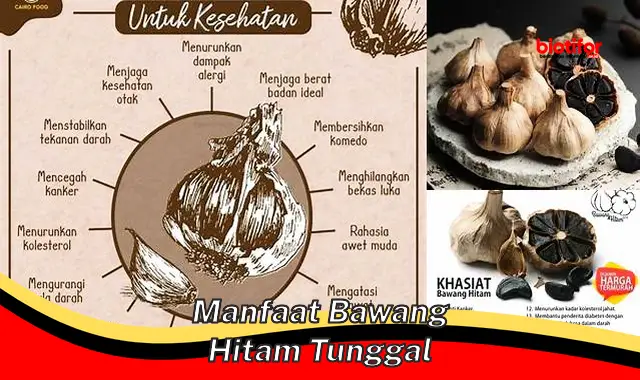 manfaat bawang hitam tunggal