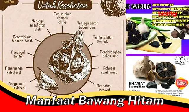 manfaat bawang hitam