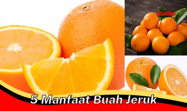 5 manfaat buah jeruk