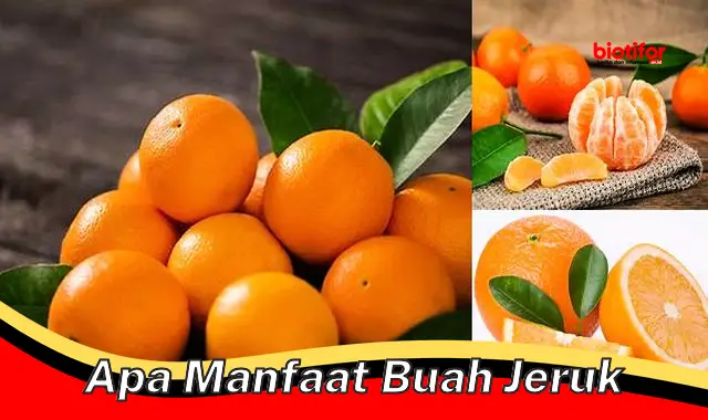 apa manfaat buah jeruk